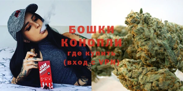 дживик Абаза