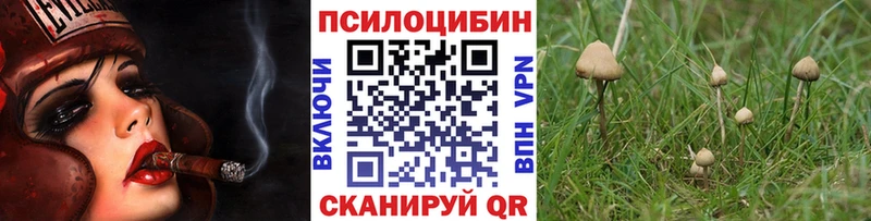 Псилоцибиновые грибы Magic Shrooms  Белый 